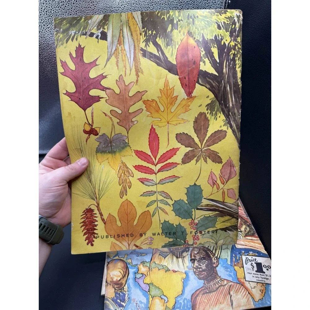 Vintage Art Books Walter Foster 101 Heads More Trees Perspective Drawing Lot
